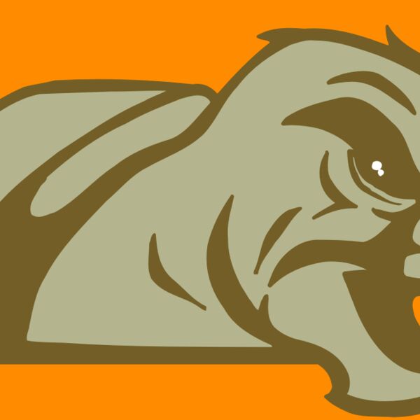 AR5 Turtle 02 RQC Thumbnail