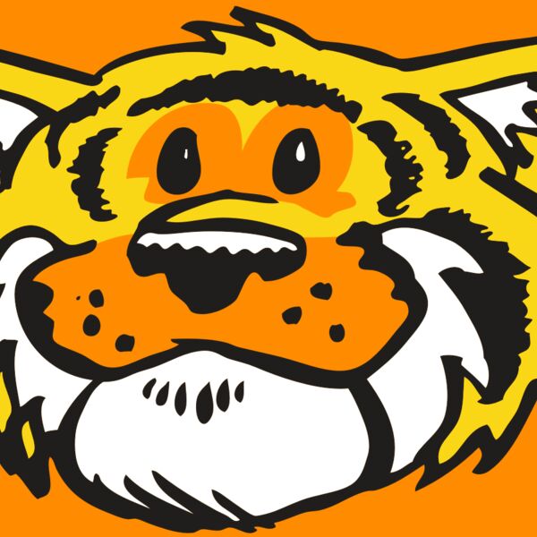 AR TIGER 90 RC Thumbnail