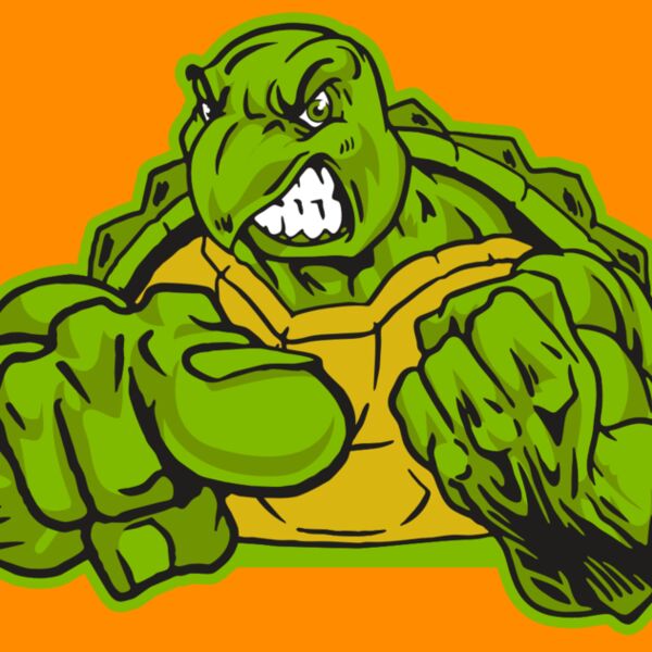 AR31 TURTLE 02 RQC Thumbnail