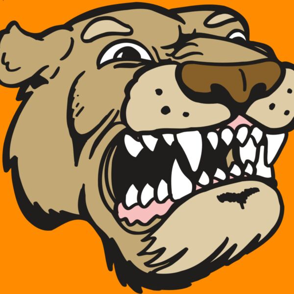 AR5 COUGAR 04 RQC Thumbnail