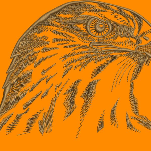 ms604 Thumbnail