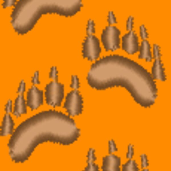 rc362 Thumbnail