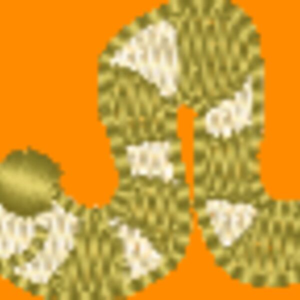 Ci506 Thumbnail