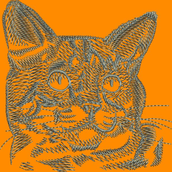 wo312 Thumbnail