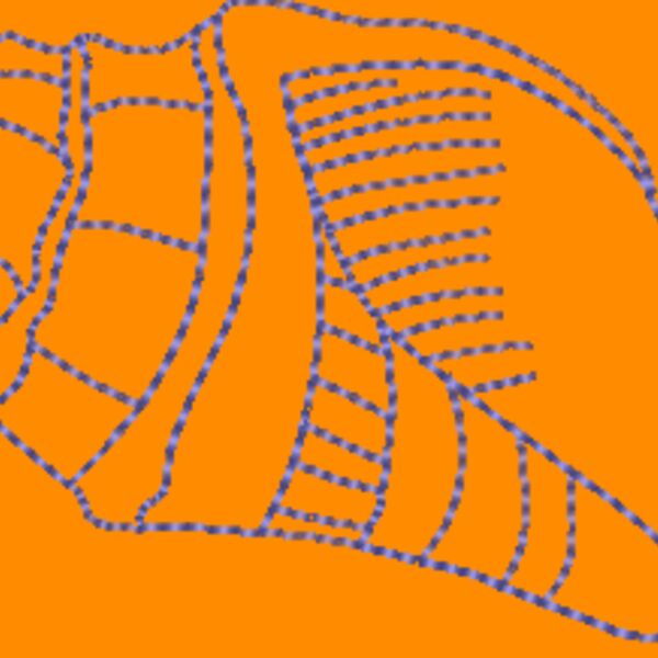 NA596 Thumbnail