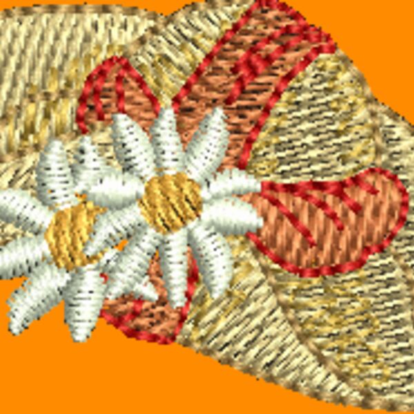 NX480 Thumbnail