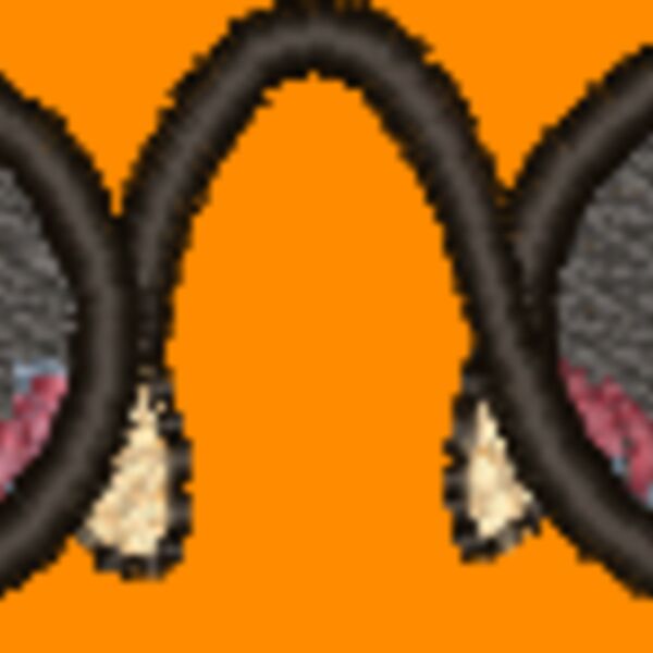 NZ254 Thumbnail