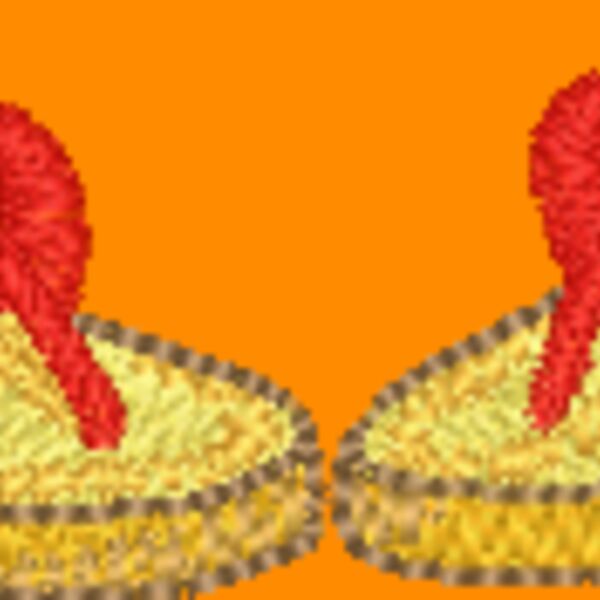 NZ273 Thumbnail