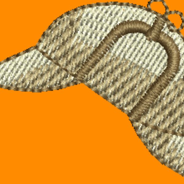 Nx496 Thumbnail