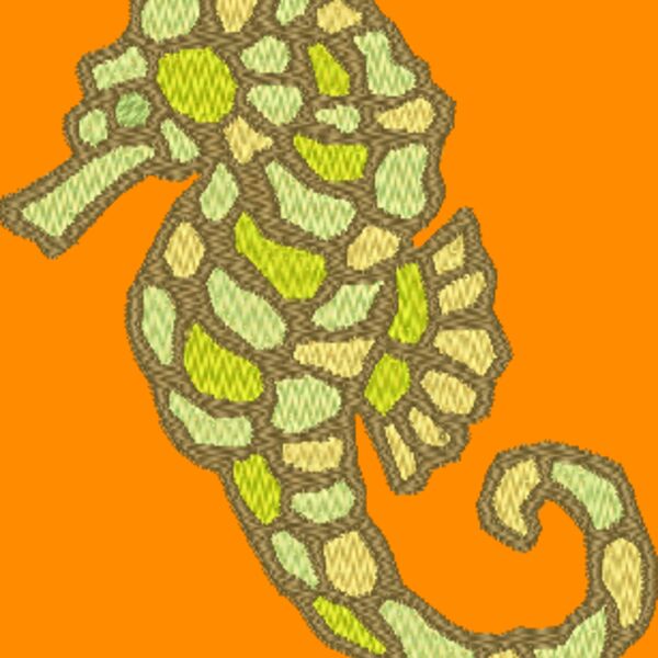 NZ627 Thumbnail