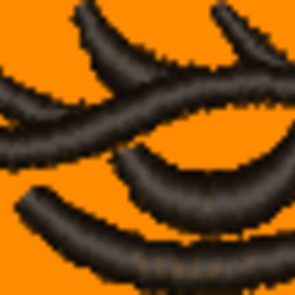 NZ788 Thumbnail