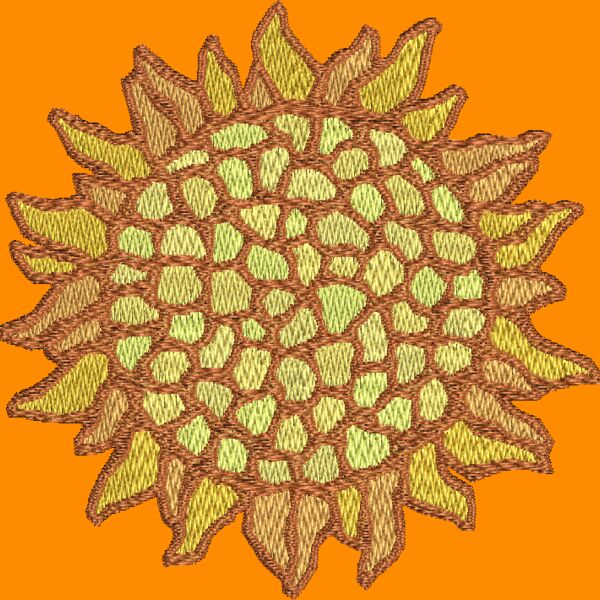 NZ634 Thumbnail