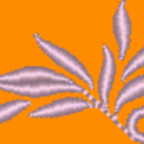 NZ794 Thumbnail
