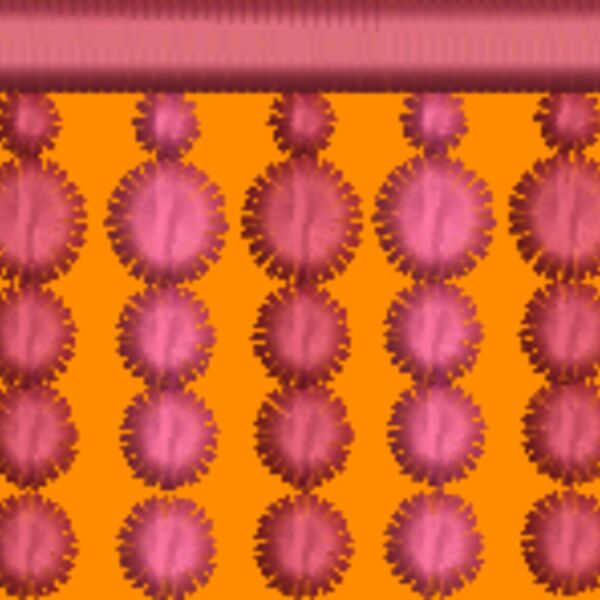 NA656 Thumbnail