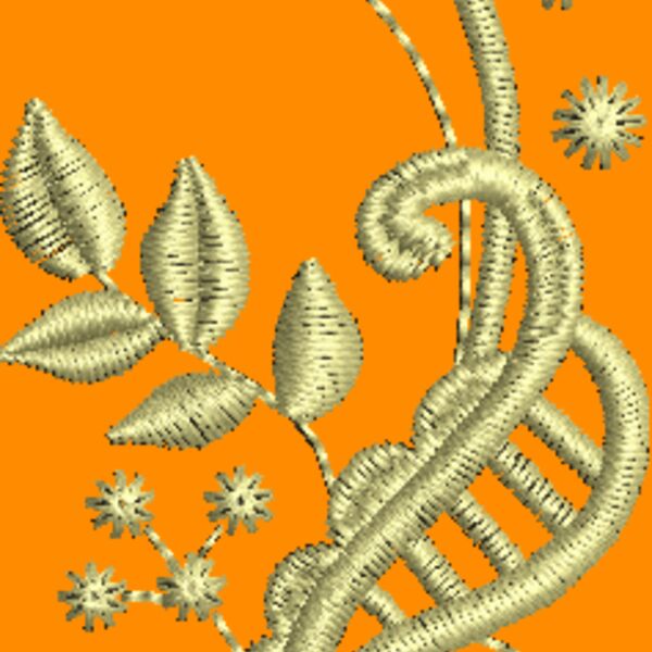FP737 Thumbnail