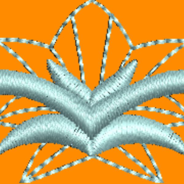 NZ806 Thumbnail
