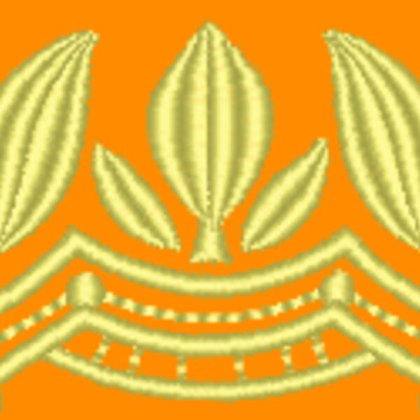 NZ798 Thumbnail