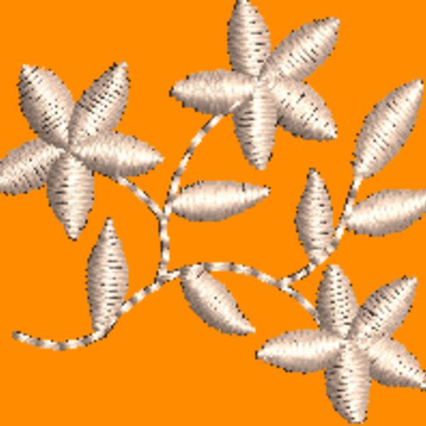 NZ791 Thumbnail