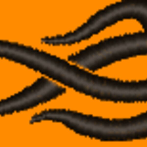 NZ786 Thumbnail