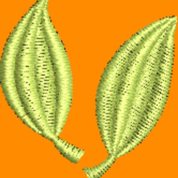 NZ797 Thumbnail
