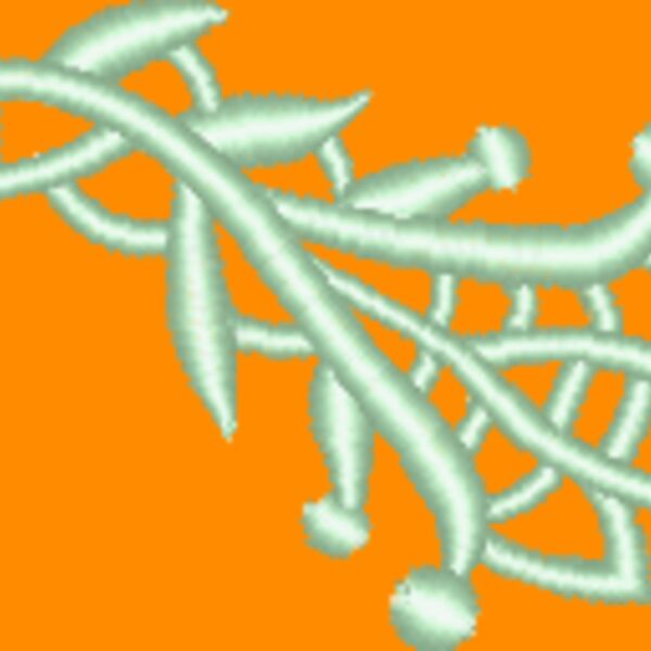 NZ337 Thumbnail