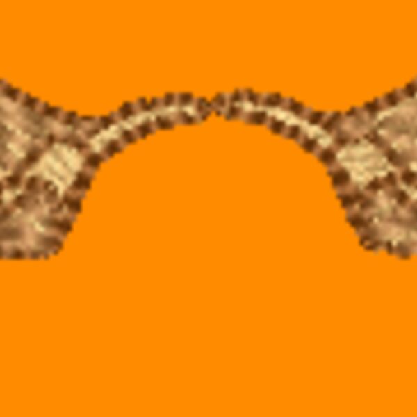Nx984 Thumbnail