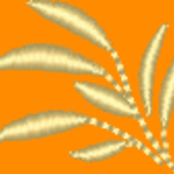 NZ815 Thumbnail