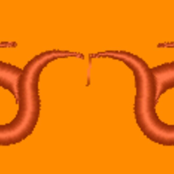 NZ382 Thumbnail