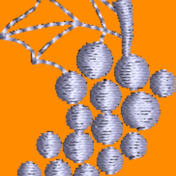 NZ803 Thumbnail