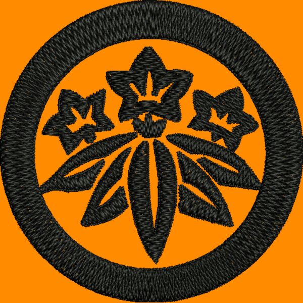 NZ558 Thumbnail