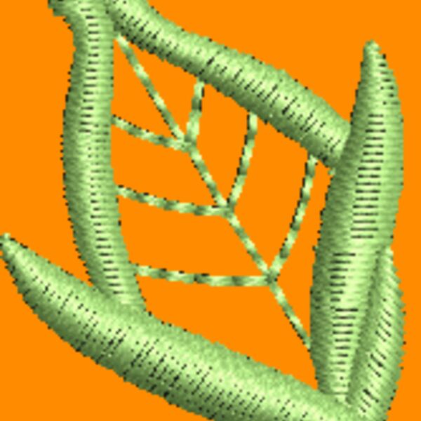NZ821 Thumbnail