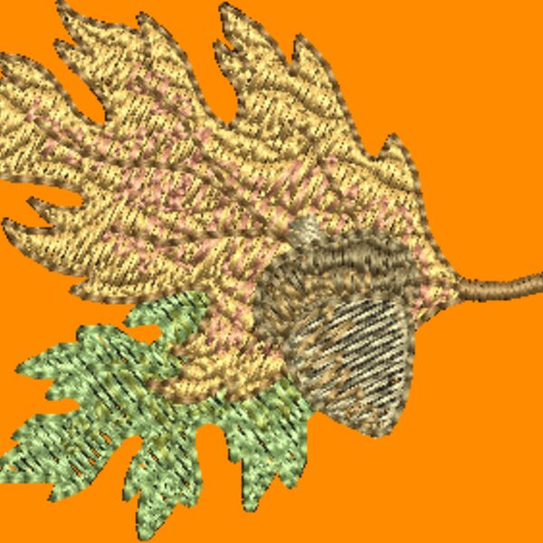 328198 Thumbnail