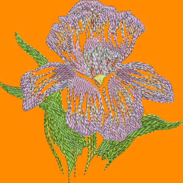 By Rashonda Thumbnail