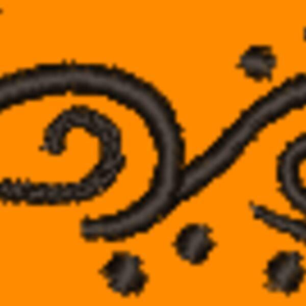 NZ755 Thumbnail