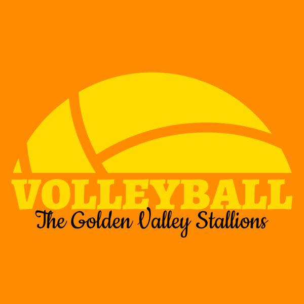 Volleyball 40 Thumbnail